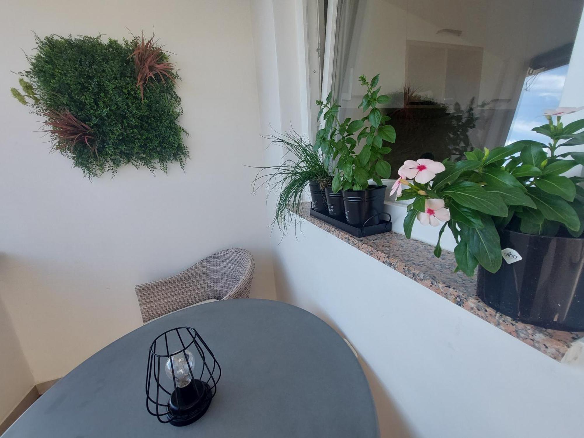 Petra Rooms And Apartments Palit Δωμάτιο φωτογραφία